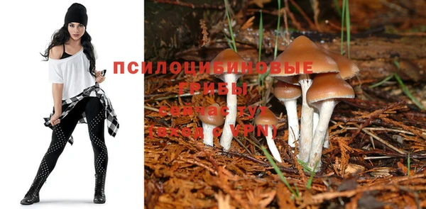 а пвп мука Балахна
