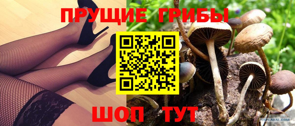 Галлюциногенные грибы прущие грибы  Вход с VPN  Псилоцибиновые грибы прущие грибы  где купить наркоту  Печора 